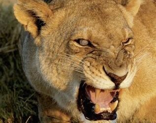 Defensiveness: Protecting The Heart