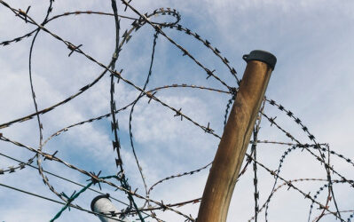 What’s Tripping You Up?